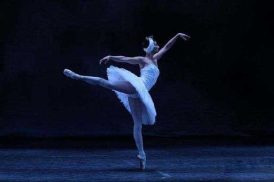 形体芭蕾为什么不同于专业芭蕾